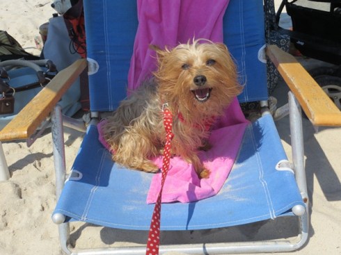 ???????????????????????????????