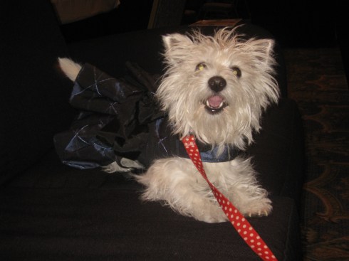 Come out and play with me!  Life is good!