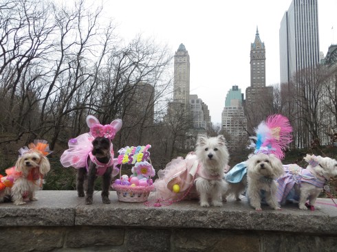 New York Easter Parade