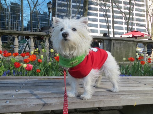 Park time in the City!