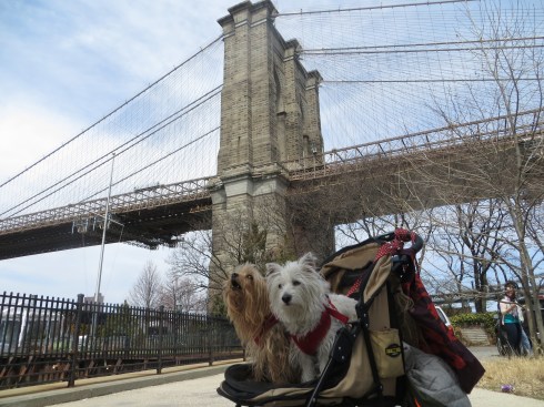 Brooklyn Bridge Park