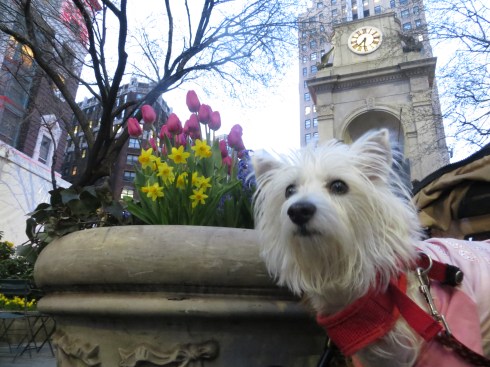 Outside Macy's Herald Square