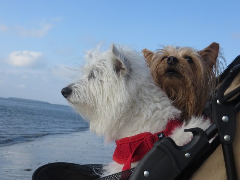 Hilton Head Island Beach