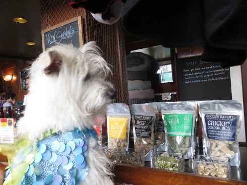 Shopping for treats at The Salty Paw