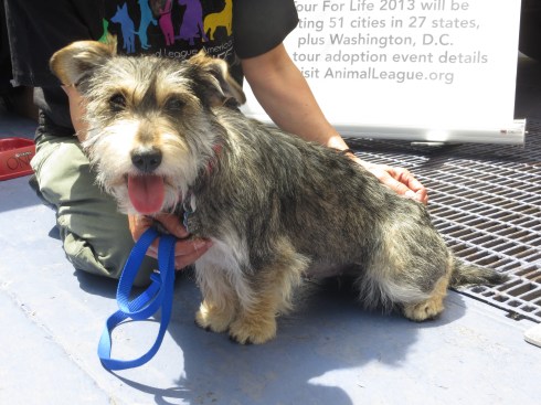 Caroline is looking for a home