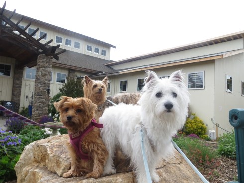 Entrance to Barrel Oak Winery