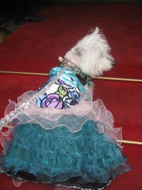 Heading into the Bideawee Ball