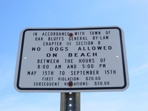 Oak Bluffs Beach Rules