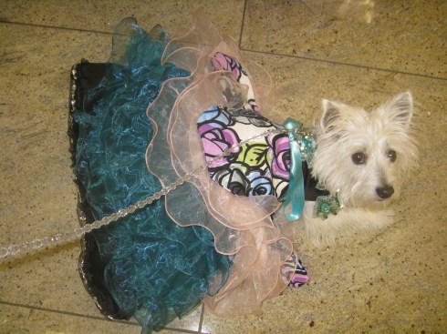 Cubby's gown at the prom
