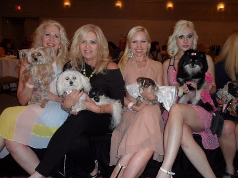 Fashionistas at Rescues Rock the Runway