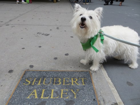 Shubert Alley gets ready for Broadway Barks