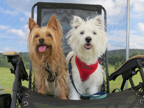 Relaxing at Glen Highland Farm