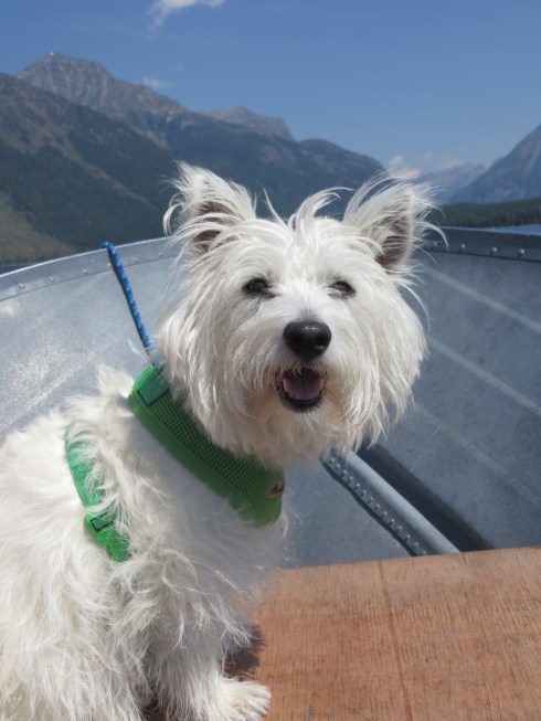 Love the beauty in nature! 