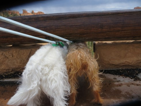 On the hunt for more adventure!