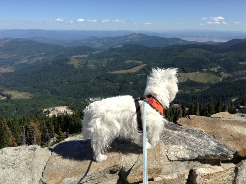 On top of the world at Mount Spokane