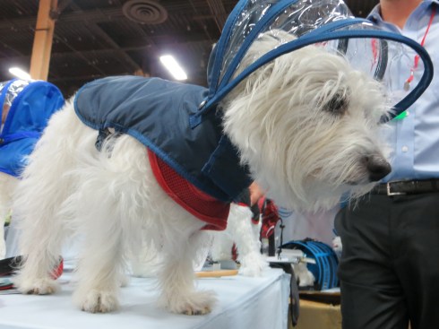 Push Pushi Rain Coat with detachable hood