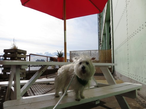 Picnic tables on the river at SuperPier