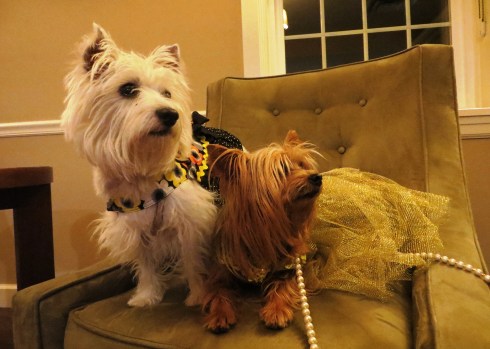 Hanging out by the fire at the Essex Resort