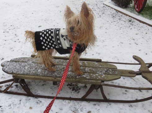 Wine and Vermont 172