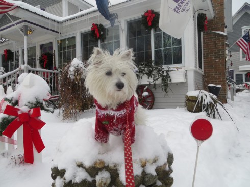 Vermont fun in the snow!