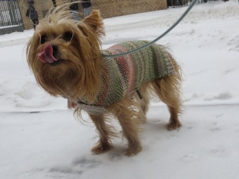 Birthday and Snow 045