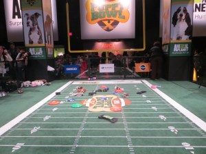Puppy Bowl Experience in Times Square
