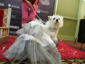 Our gown designed by Dawn Deisler