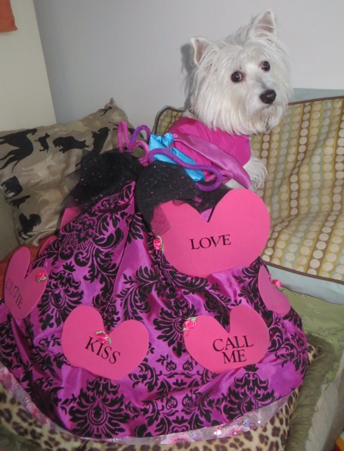 Happy Valentine's Day