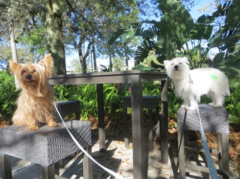 Fun in the sun in Florida!