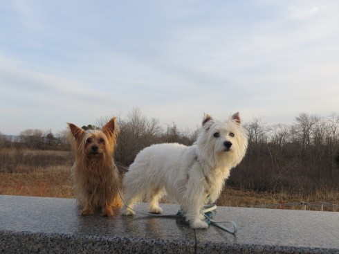 Inn by the Sea in Maine