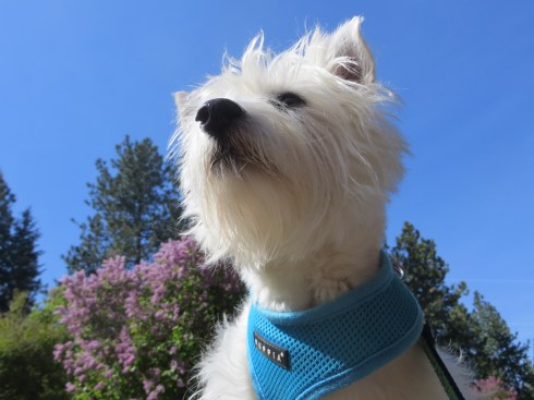 Enjoying the view in Spokane