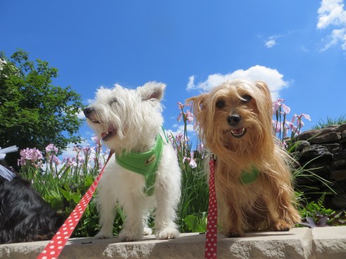 Hanging out at the Washington Hilton